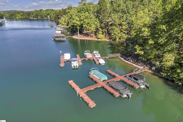 451 Cedar Creek Rd, Sunset, SC 29685 - bird's eye view of a nearby body of water and a forest