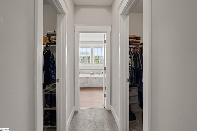 916 Lockhurst Dr, Simpsonville, SC 29681 - walk in closet featuring carpet