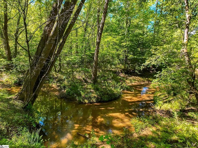 698 Mount Bethel Rd, Sunset, SC 29685