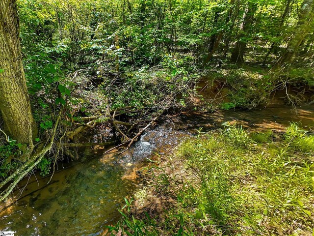 698 Mount Bethel Rd, Sunset, SC 29685