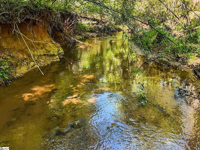 698 Mount Bethel Rd, Sunset, SC 29685