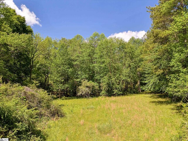 698 Mount Bethel Rd, Sunset, SC 29685