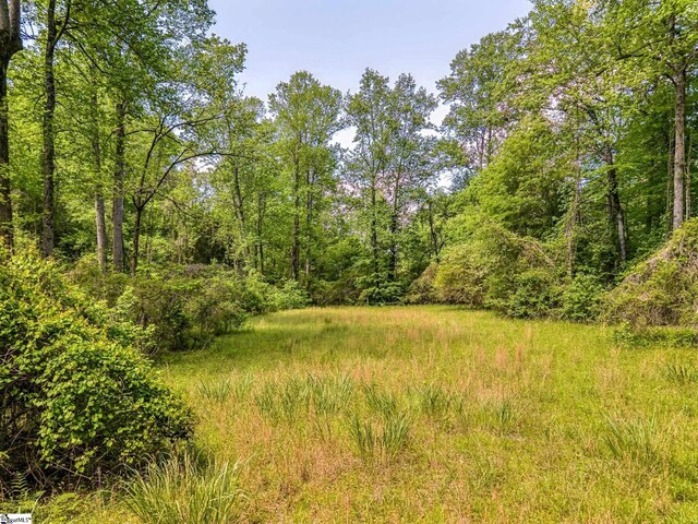 698 Mount Bethel Rd, Sunset, SC 29685
