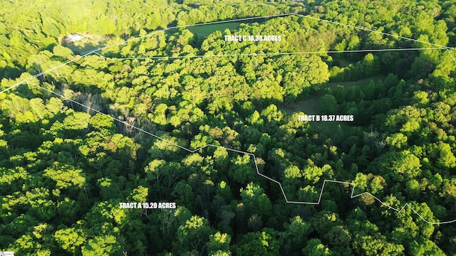 aerial overview of property's location with a forest and property parcel outlined