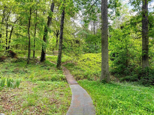 132 Rosecrest Rd, Spartanburg, SC 29303 - view of woods