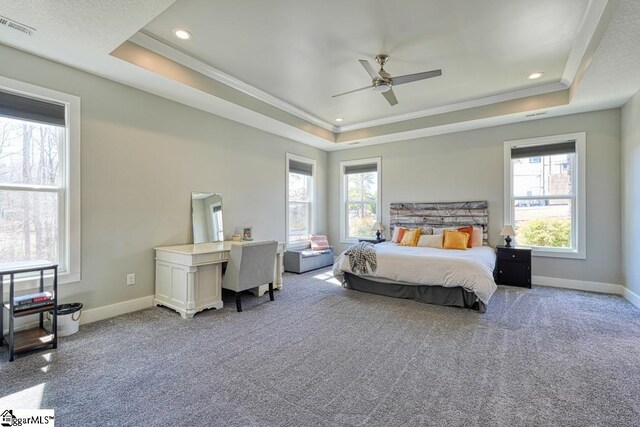 2007 Edwards Lake Rd, Greer, SC 29651 - bedroom featuring a tray ceiling, multiple windows, crown molding, carpet flooring, and baseboards