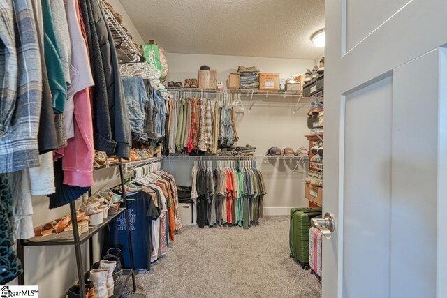 2007 Edwards Lake Rd, Greer, SC 29651 - spacious closet with carpet floors