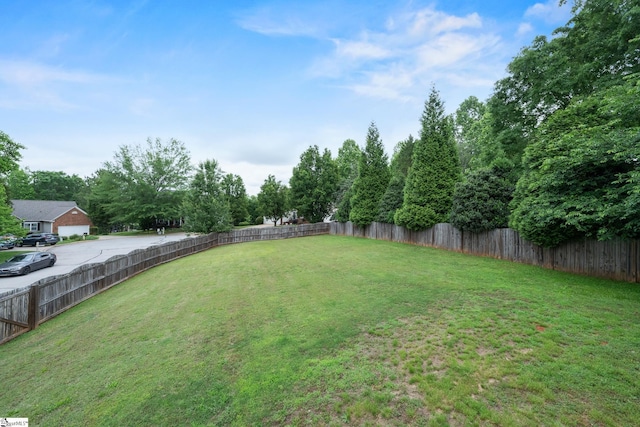 view of yard