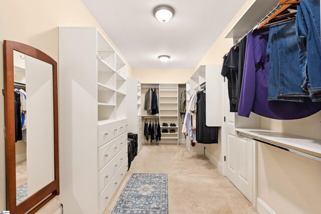 201 King Eider Way, Taylors, SC 29687 - walk in closet featuring light carpet