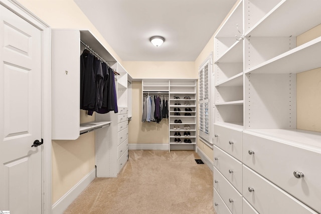 201 King Eider Way, Taylors, SC 29687 - walk in closet with light carpet