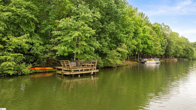 201 King Eider Way, Taylors, SC 29687 - dock with a water view and a wooded view