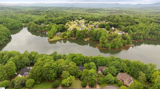201 King Eider Way, Taylors, SC 29687 - bird's eye view of a heavily wooded area and a nearby body of water