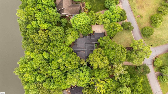 201 King Eider Way, Taylors, SC 29687 - bird's eye view