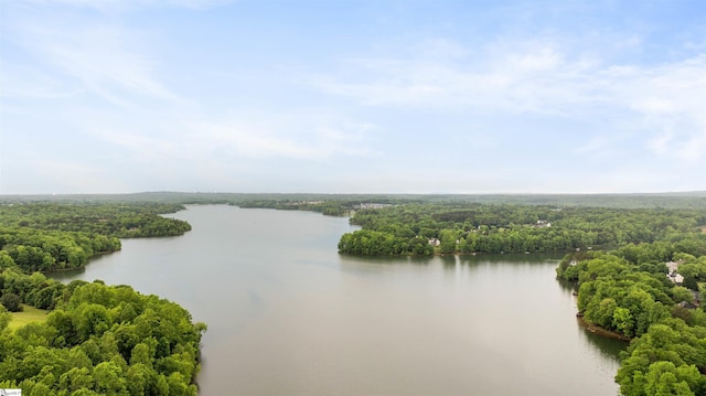 201 King Eider Way, Taylors, SC 29687 - water view featuring a heavily wooded area