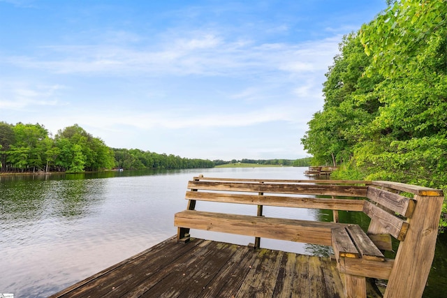 201 King Eider Way, Taylors, SC 29687 - dock area featuring a water view and a forest view
