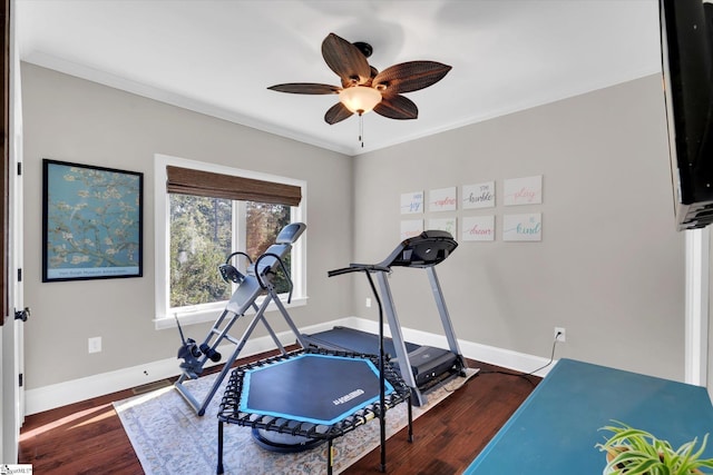 100 Bent Willow Way, Easley, SC 29642 - workout area featuring wood finished floors, ceiling fan, baseboards, and ornamental molding