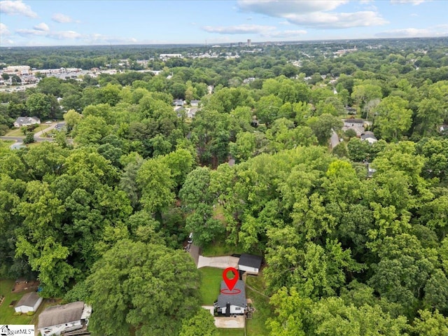 11 Christopher St, Greenville, SC 29617 - aerial view of a forest
