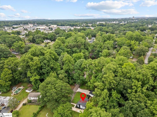 11 Christopher St, Greenville, SC 29617 - aerial view of a forest