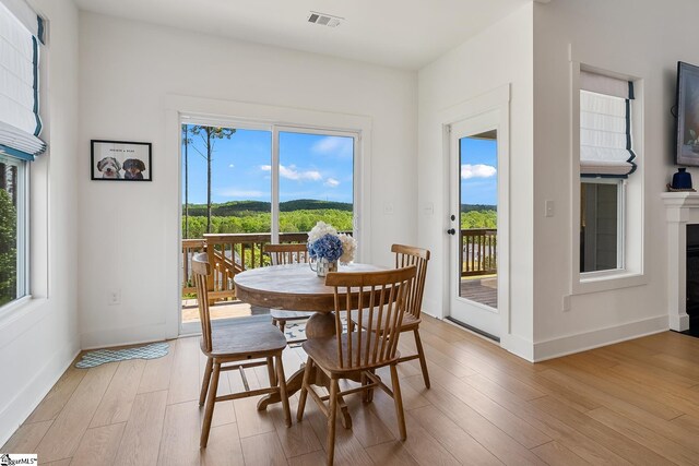 139 Ridgeline Row, Central, SC 29630 - dining room featuring light wood-type flooring, healthy amount of natural light, baseboards, and a fireplace