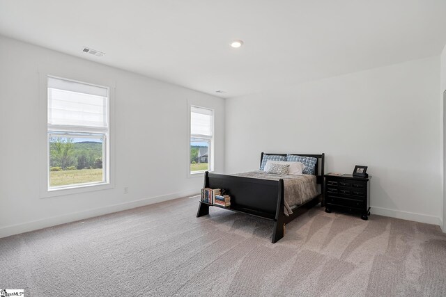 139 Ridgeline Row, Central, SC 29630 - bedroom featuring carpet flooring and baseboards