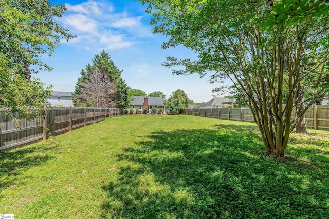 view of yard