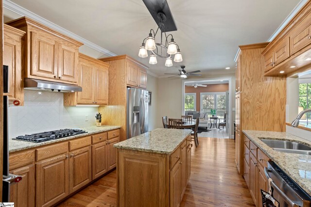 kitchen with stainless steel appliances, under cabinet range hood, a sink, light wood-style floors, and healthy amount of natural light