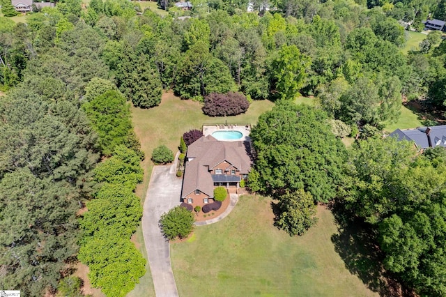 bird's eye view of a forest
