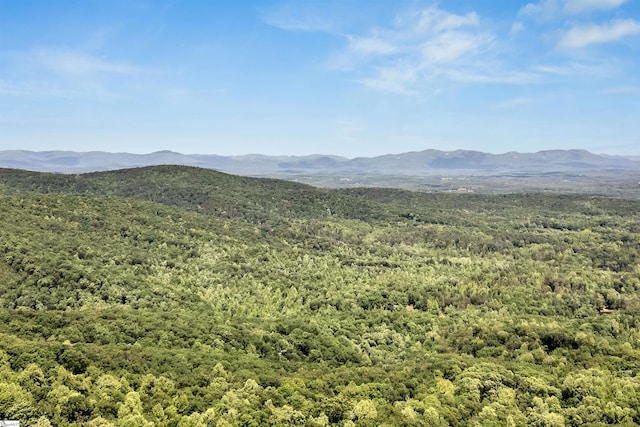 view of mountain backdrop featuring a heavily wooded area