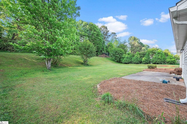 113 Glastonbury Dr, Greer, SC 29651 - view of green lawn with a patio area