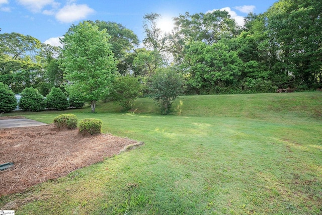 113 Glastonbury Dr, Greer, SC 29651 - view of grassy yard