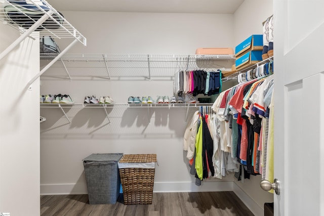 201 Rosecroft Dr, Easley, SC 29642 - walk in closet with wood finished floors