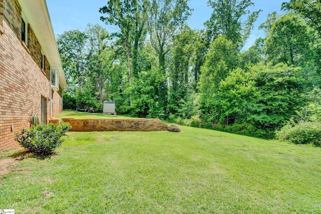 view of green lawn