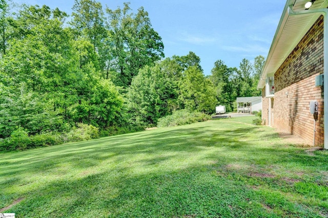 view of grassy yard