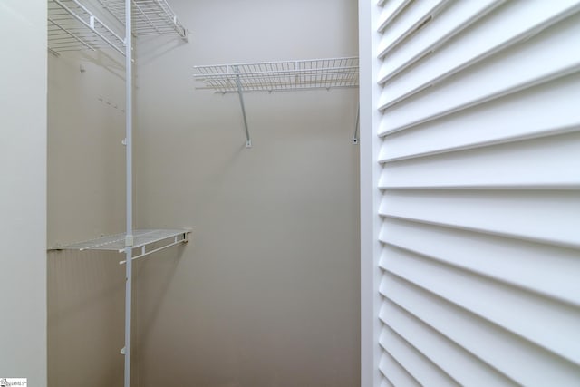 view of spacious closet