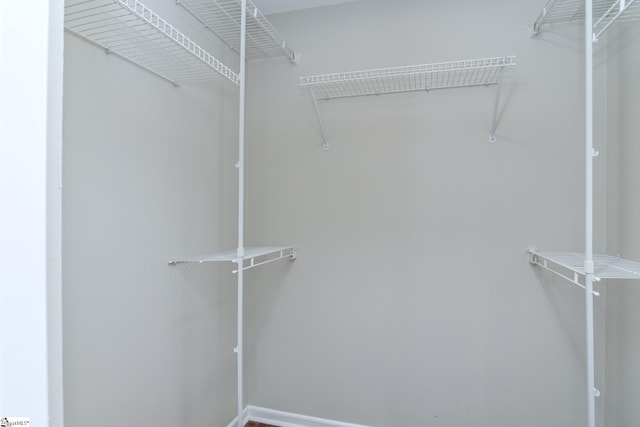 view of walk in closet