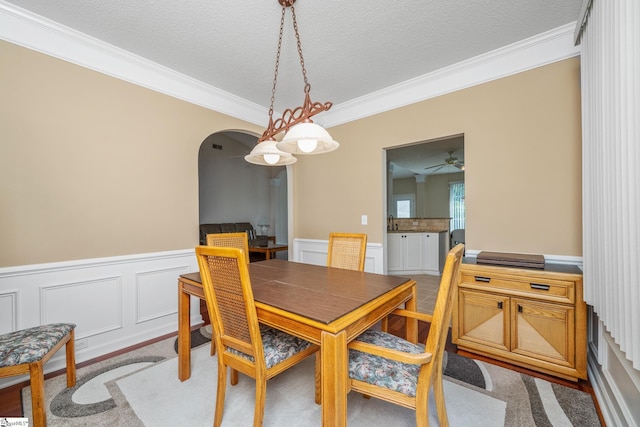 325 Waterton Way, Simpsonville, SC 29680 - carpeted dining space with crown molding, arched walkways, a wainscoted wall, ceiling fan, and a textured ceiling