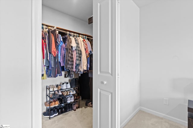 204 Maplestead Farms Ct, Greenville, SC 29617 - view of closet