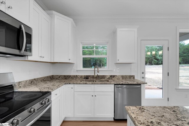 107A W Stewart St, Pelzer, SC 29669 - kitchen with stainless steel appliances, a sink, crown molding, and light stone counters