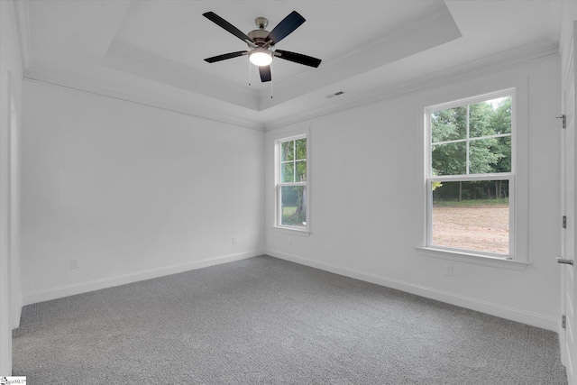 107A W Stewart St, Pelzer, SC 29669 - empty room featuring a tray ceiling, carpet floors, baseboards, a ceiling fan, and ornamental molding