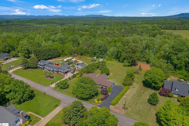aerial overview of property's location with a forest and mountains