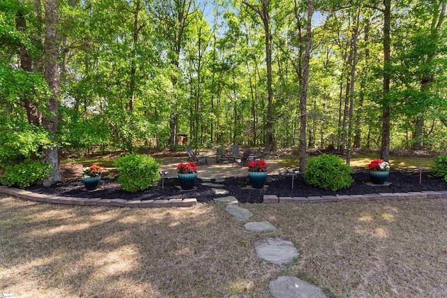 101 Belgian Blue Way, Fountain Inn, SC 29644 - view of yard