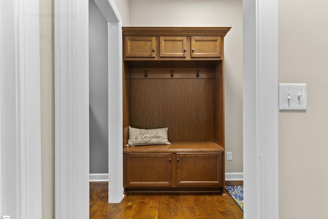 101 Belgian Blue Way, Fountain Inn, SC 29644 - mudroom featuring dark wood finished floors and baseboards