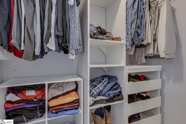 221 Twin Falls Dr, Simpsonville, SC 29680 - view of walk in closet