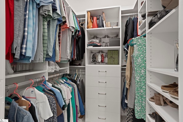 view of spacious closet