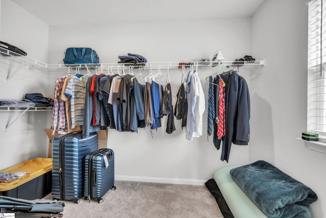 spacious closet with carpet
