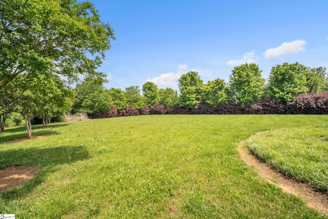 view of green lawn