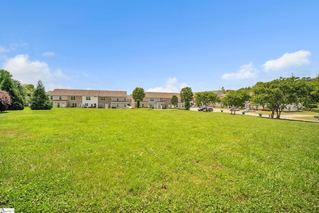 view of grassy yard