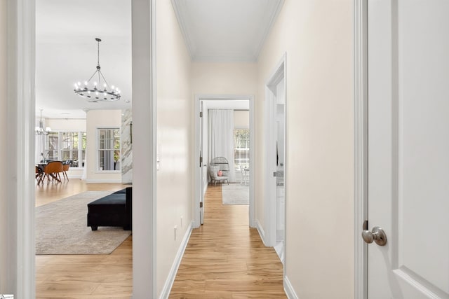 corridor featuring a chandelier, light wood-style floors, crown molding, and healthy amount of natural light