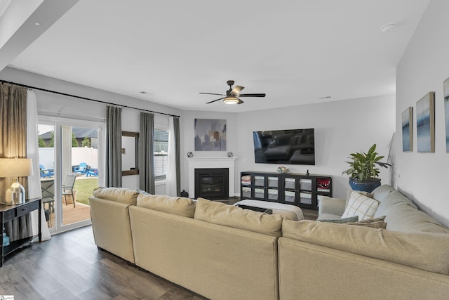 110 Strongridge Trl, Simpsonville, SC 29681 - living area featuring ceiling fan, dark wood-type flooring, and a glass covered fireplace