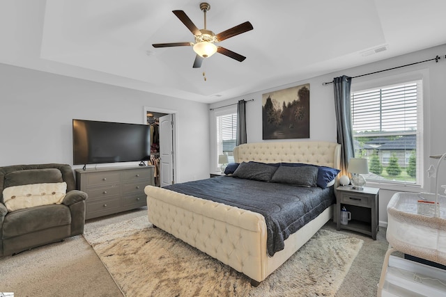 110 Strongridge Trl, Simpsonville, SC 29681 - bedroom featuring a tray ceiling, a spacious closet, light colored carpet, ceiling fan, and a closet